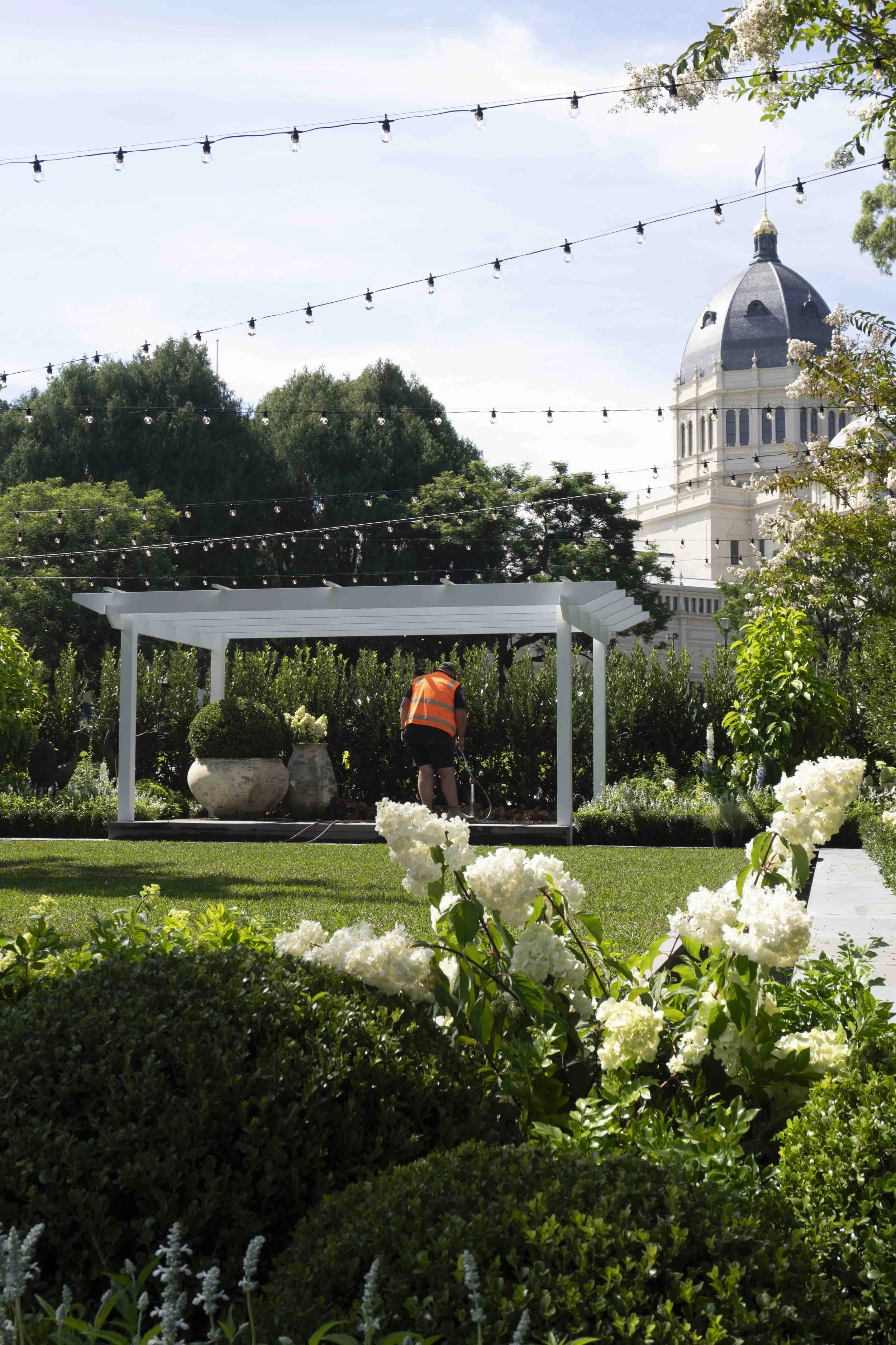 IG6_Love Blooms Here_DSC00123.JPG