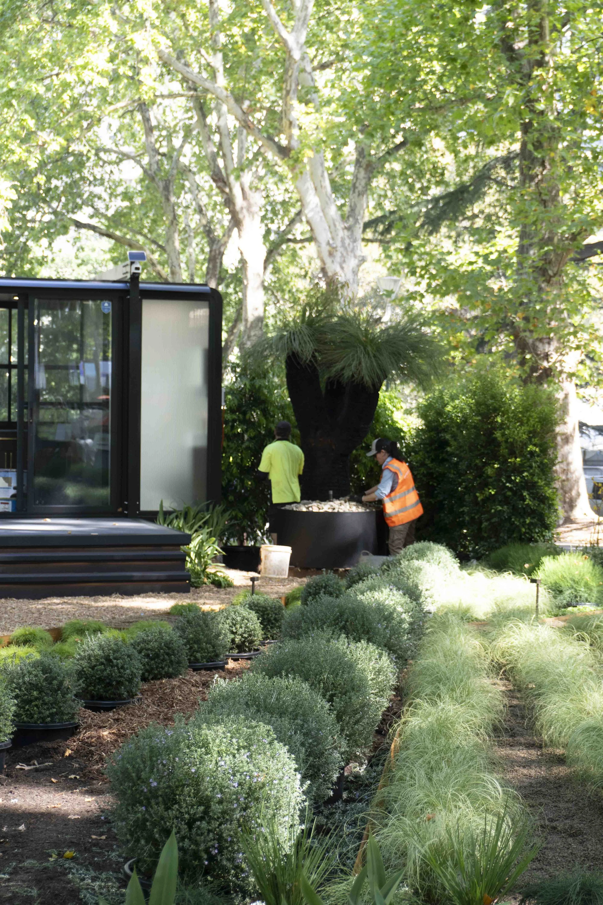 A Creation With a Conscience_DSC00148.JPG