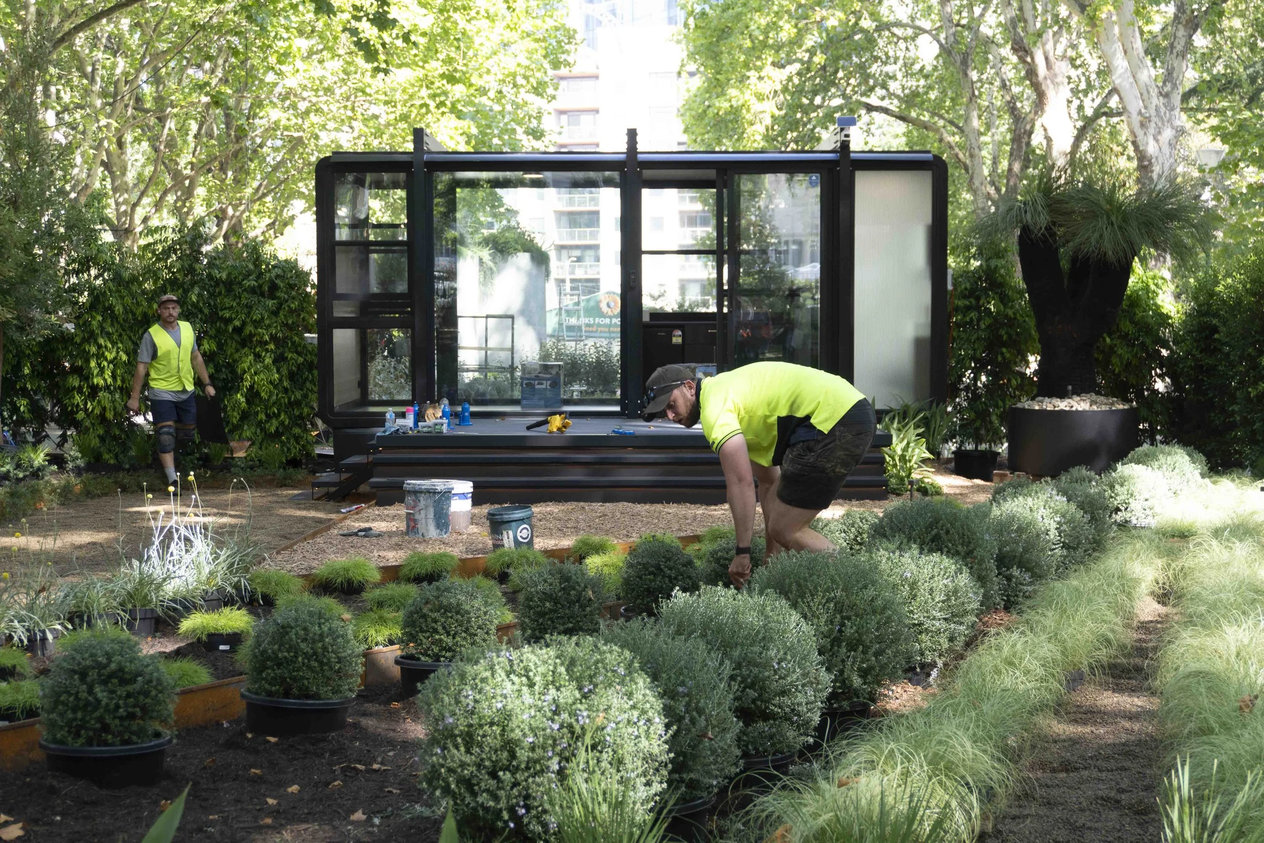 A Creation With a Conscience_DSC00152.JPG