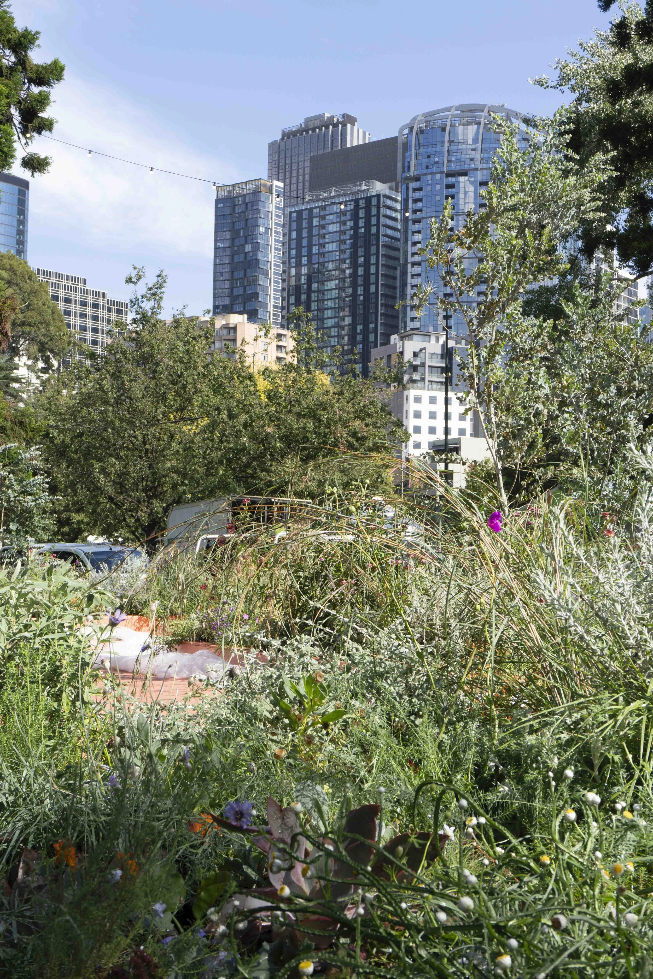 IG3_Plant Futures_DSC00141.JPG