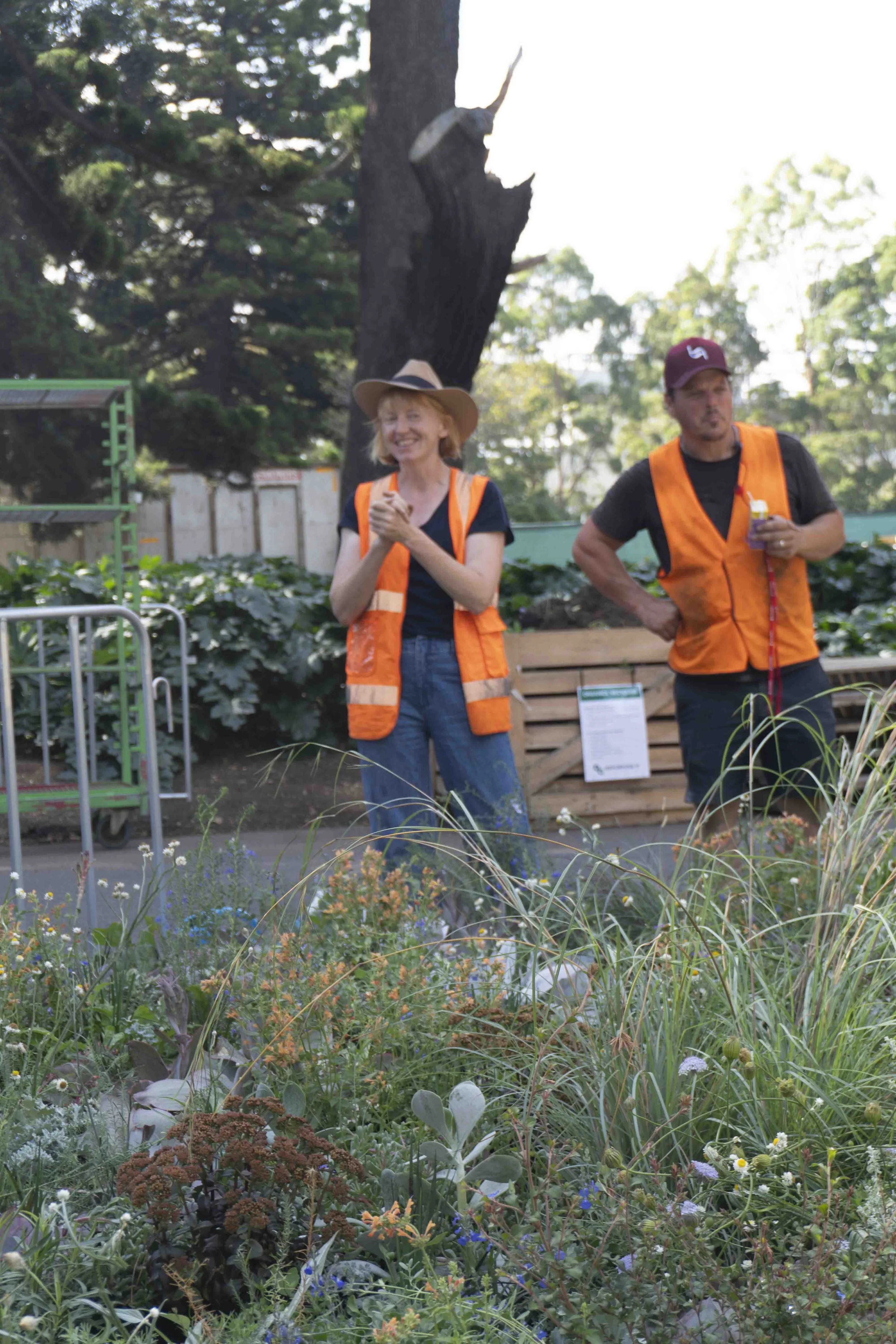 IG4_Plant Futures_DSC00134.JPG