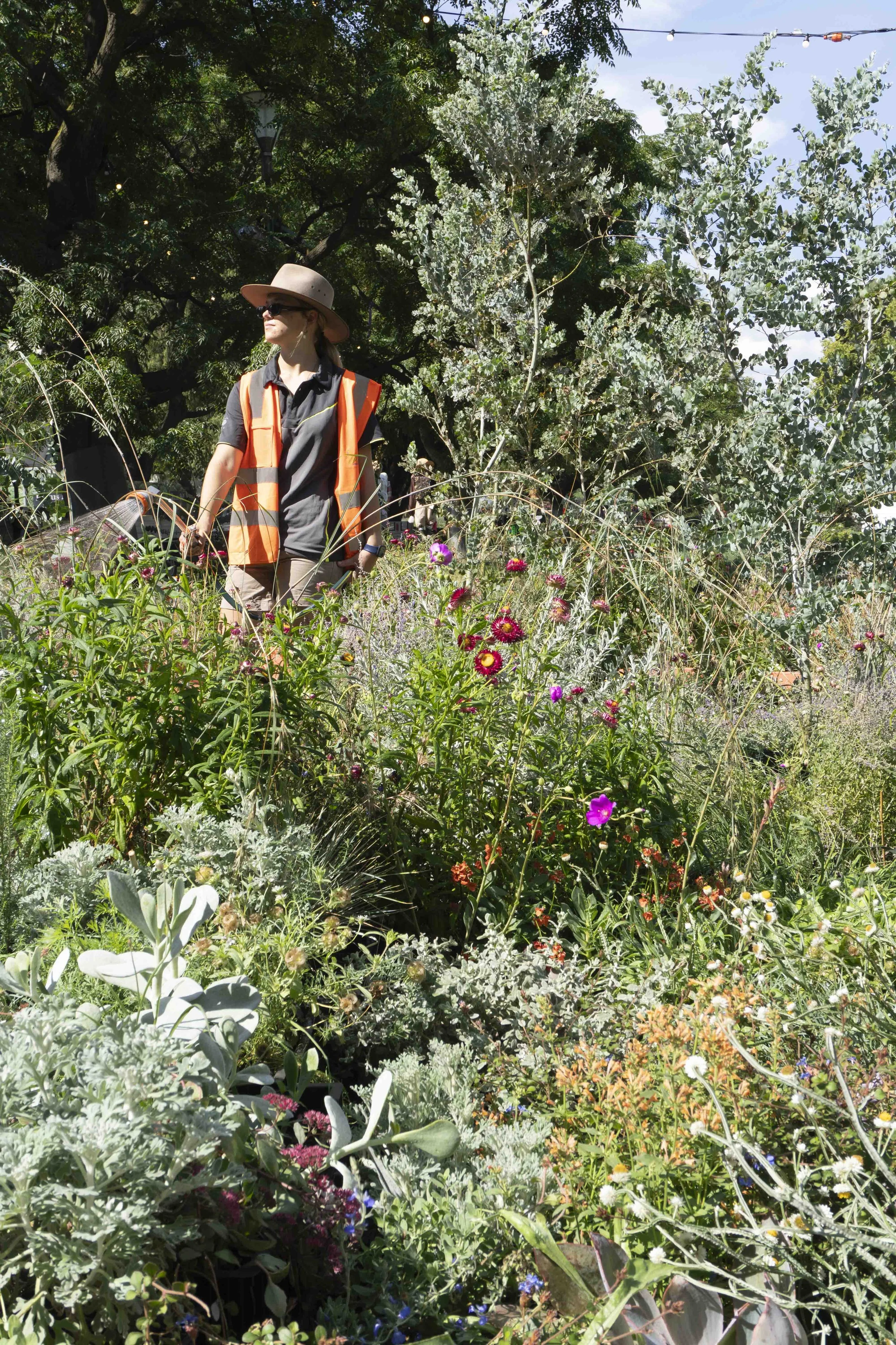 Plant Futures_DSC00136.JPG