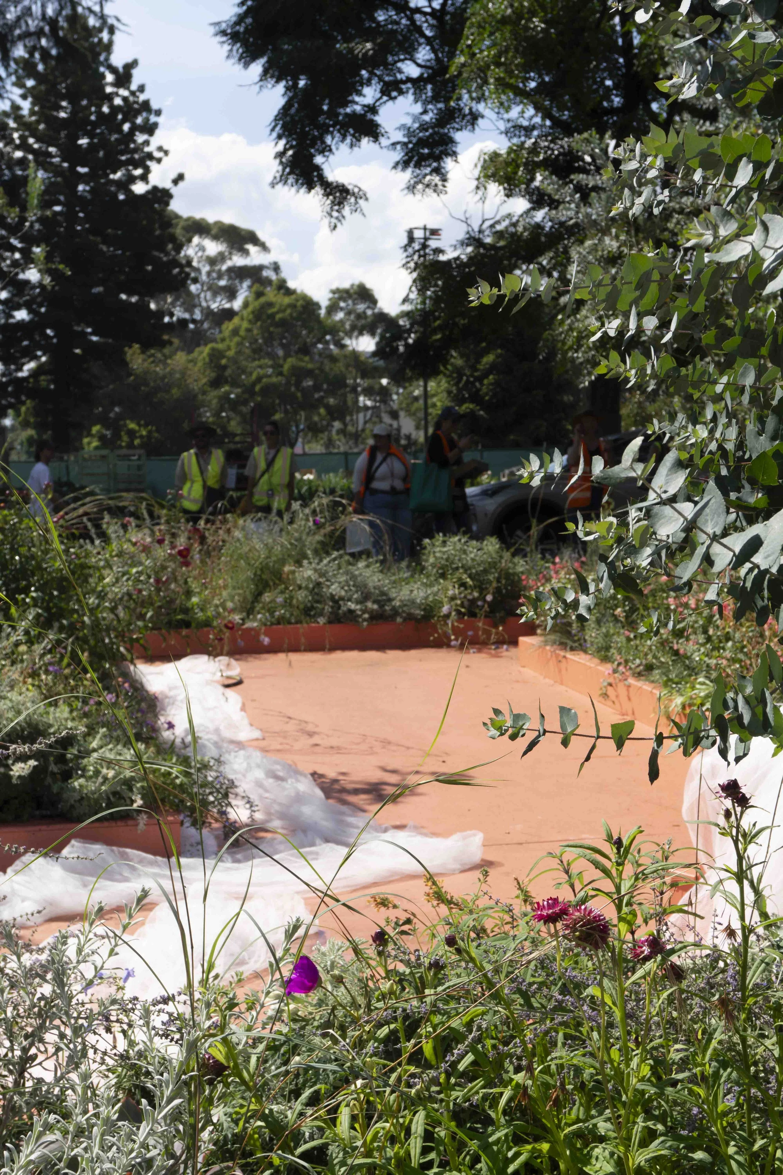 Plant Futures_DSC00137.JPG