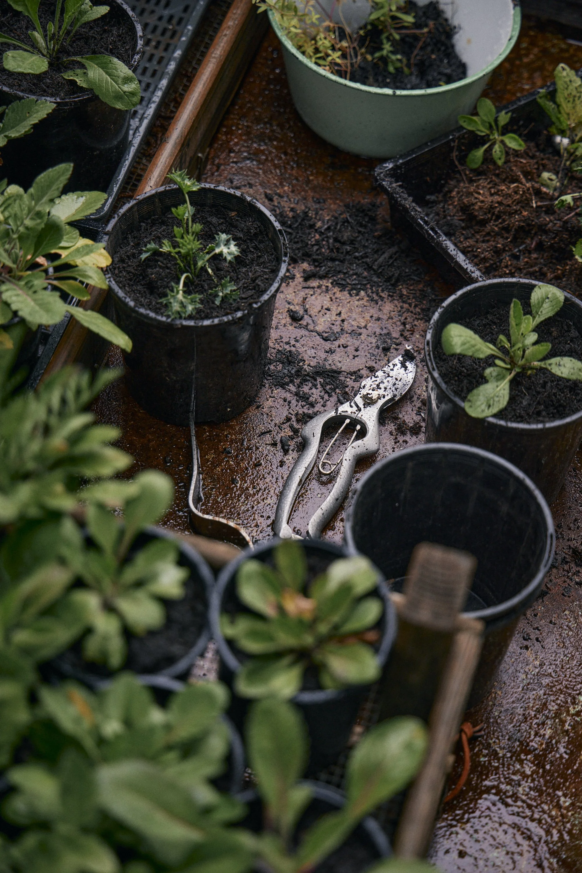 Natasha Morgan-EWeaving-Dec2023-166A4273.jpg