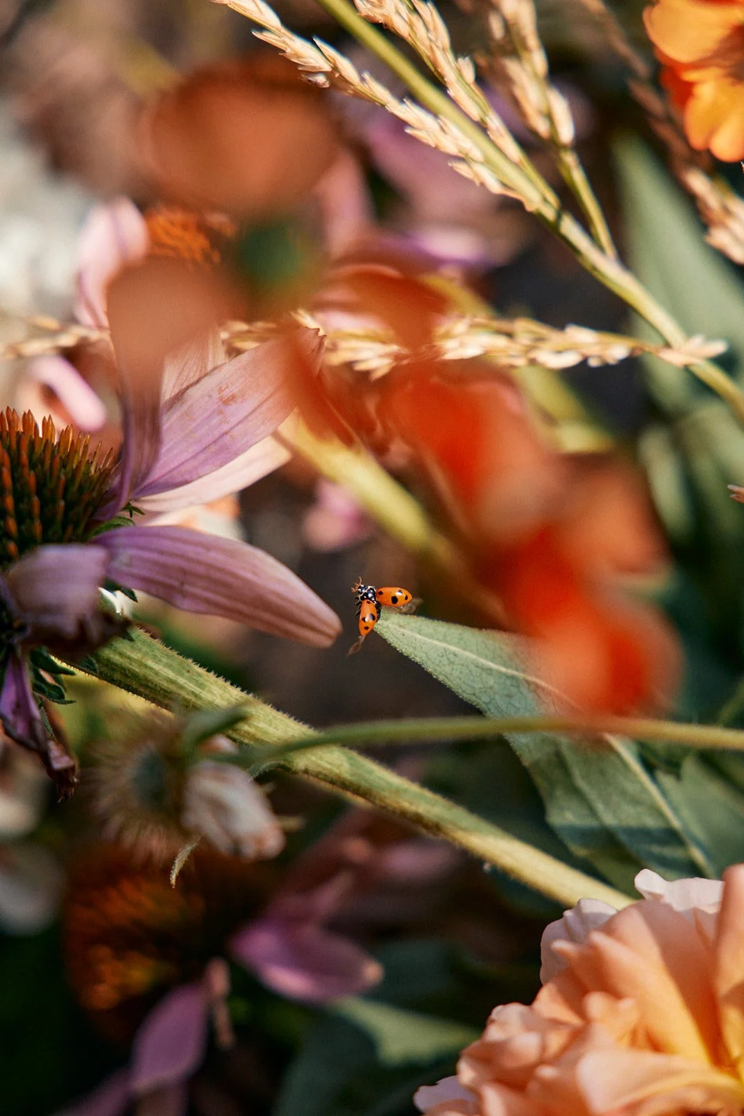 Natasha Morgan-EWeaving-Feb2025-166A3430.jpg