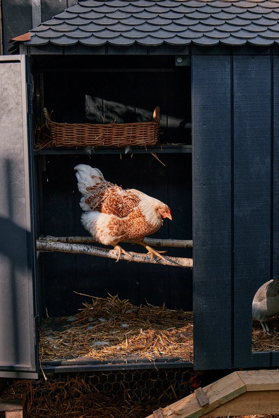 Natasha Morgan-EWeaving-Feb2025-166A3936.jpg