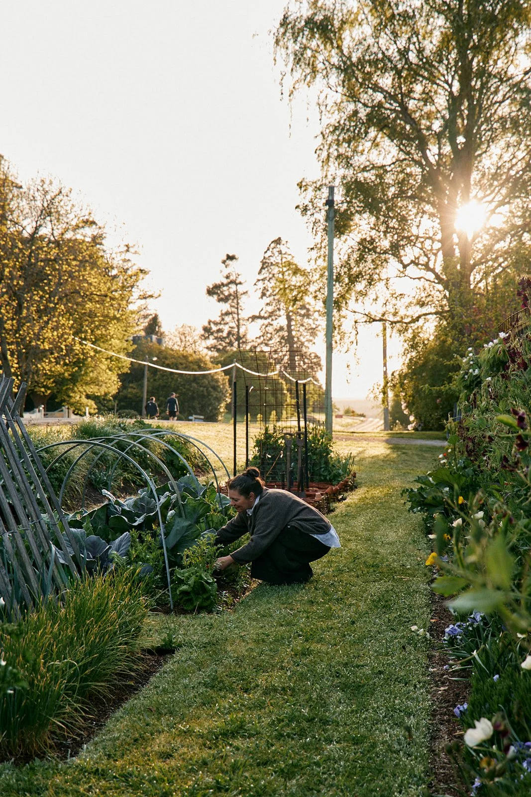 Natasha Morgan-EWeaving-Oct2025-166A2625.jpg