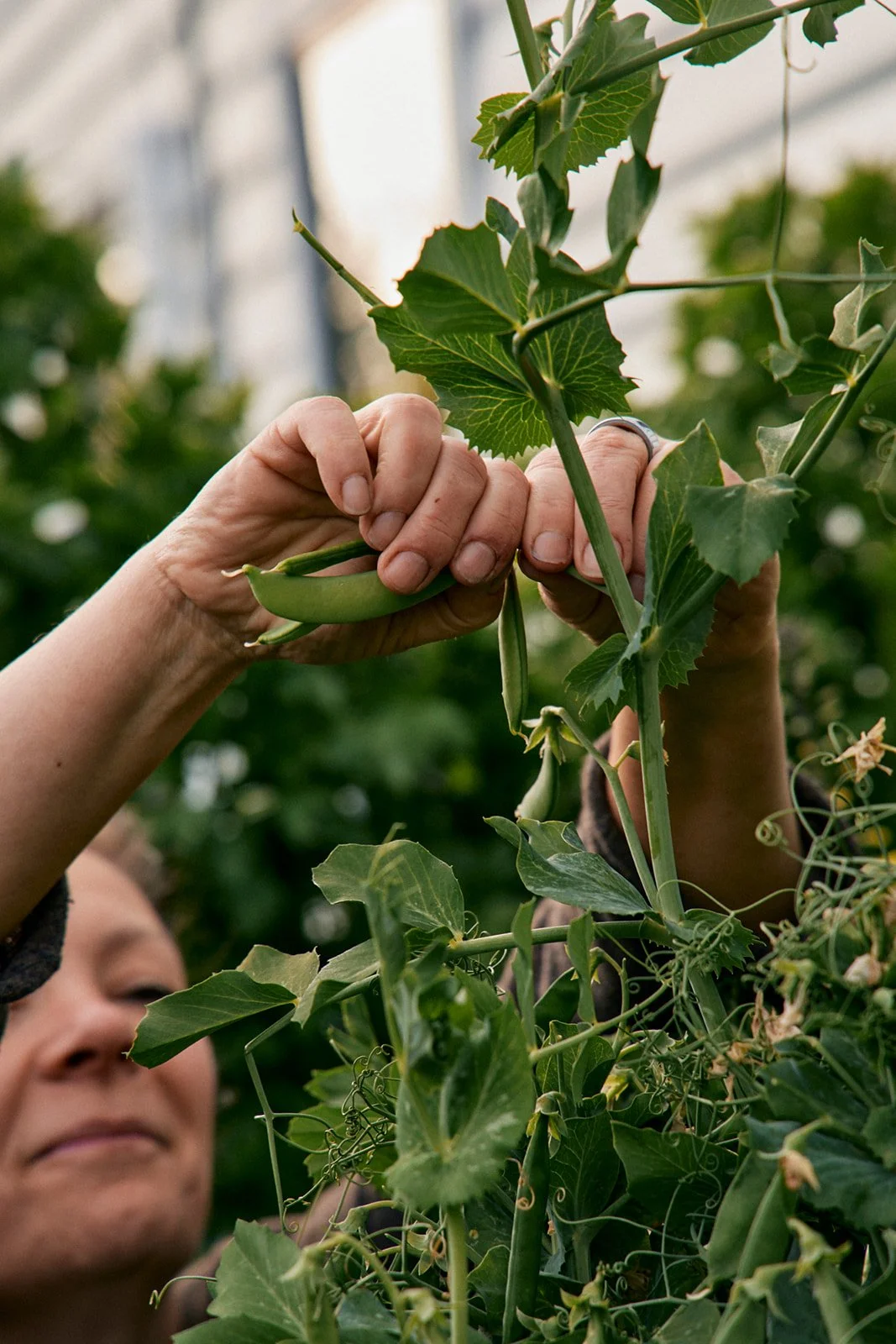 Natasha Morgan-EWeaving-Oct2025-166A2723.jpg