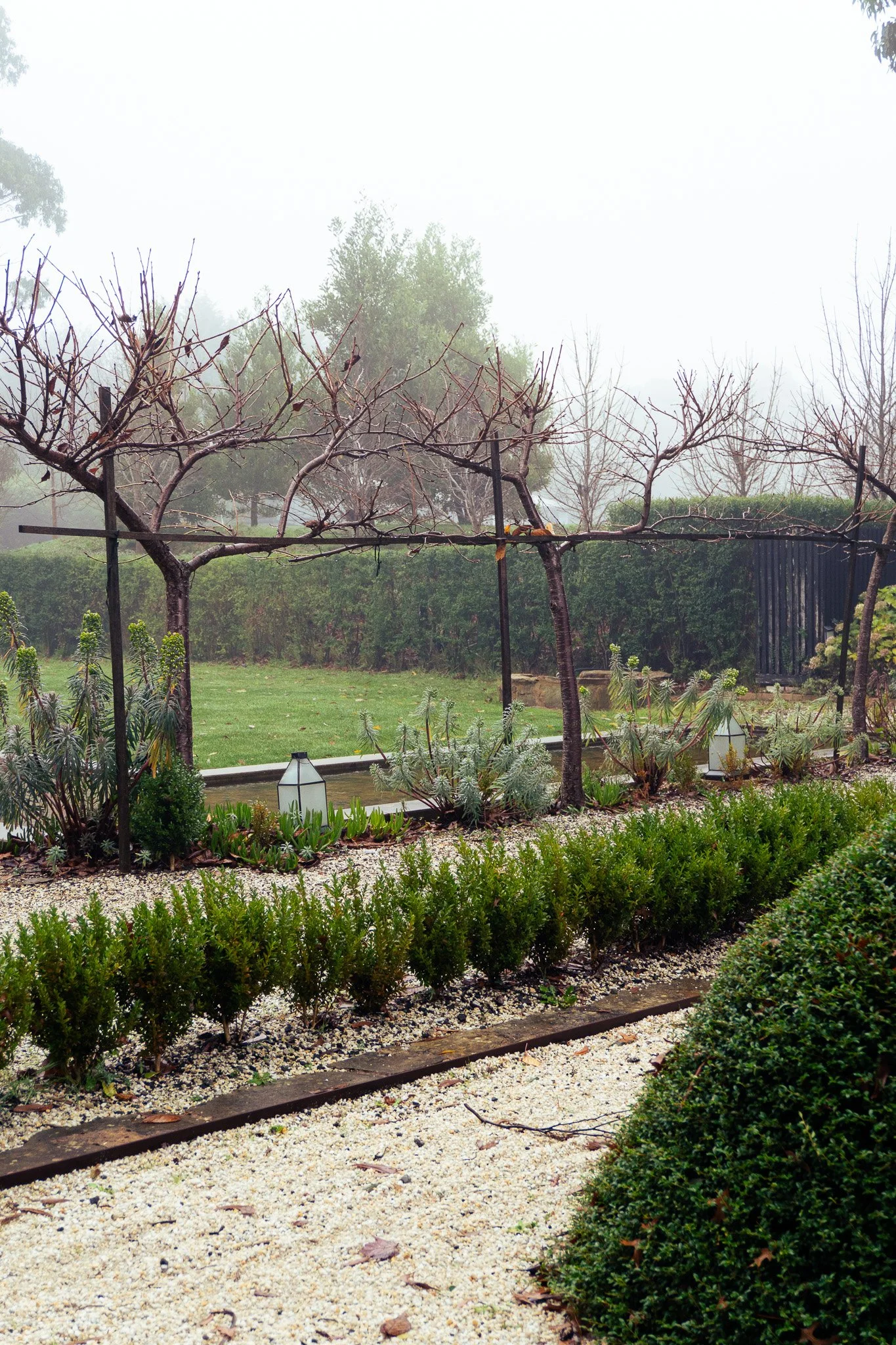 PREFERRED_DSC00249.jpg