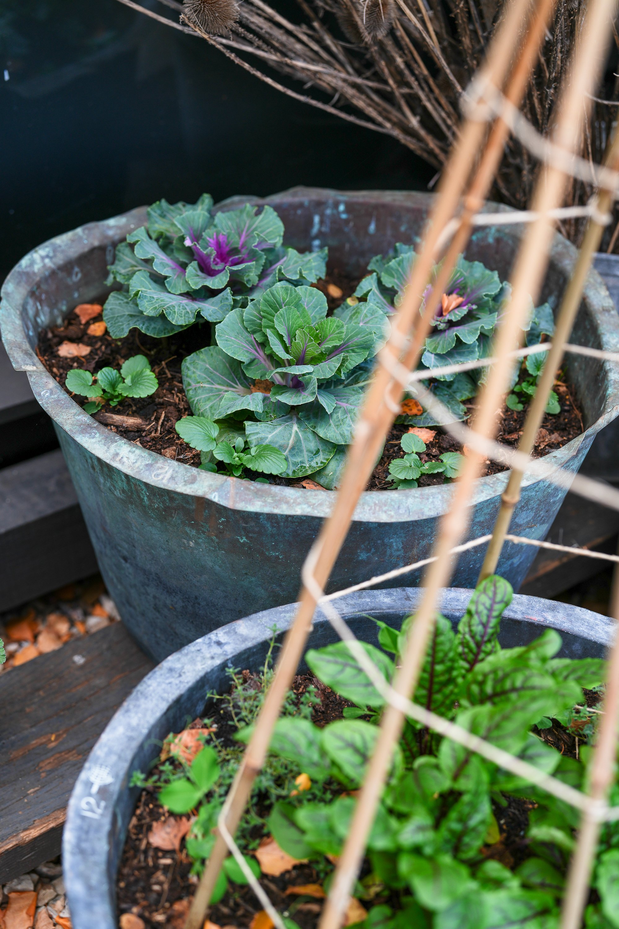 NatashaMorganWEB _byAmberGardener-436.jpg
