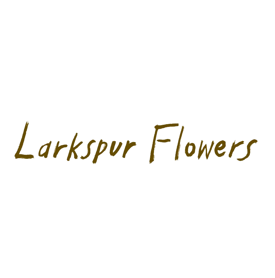LARKSPUR FLOWERS_TRANS.png