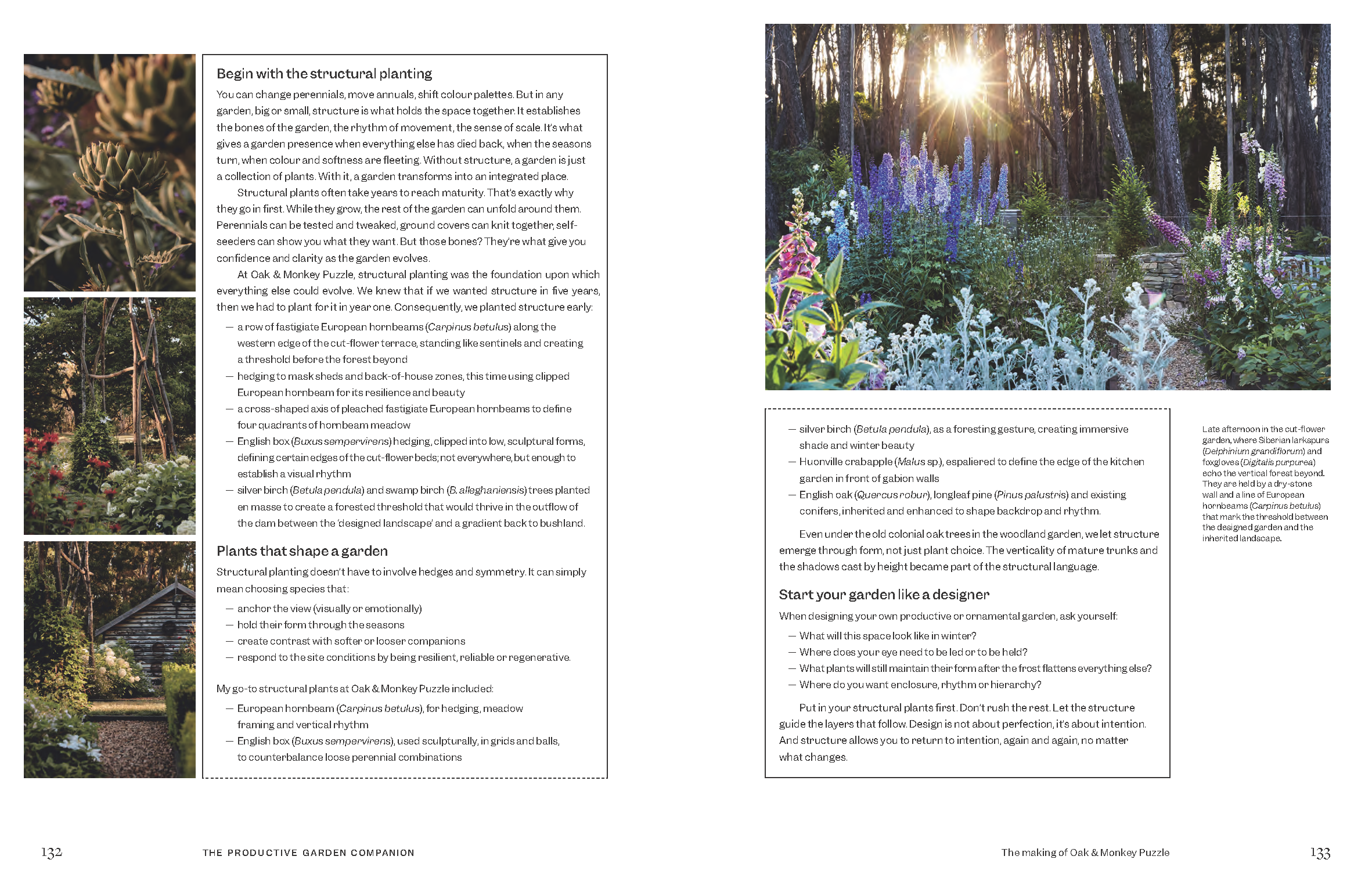 9781761501333_Page_13.png