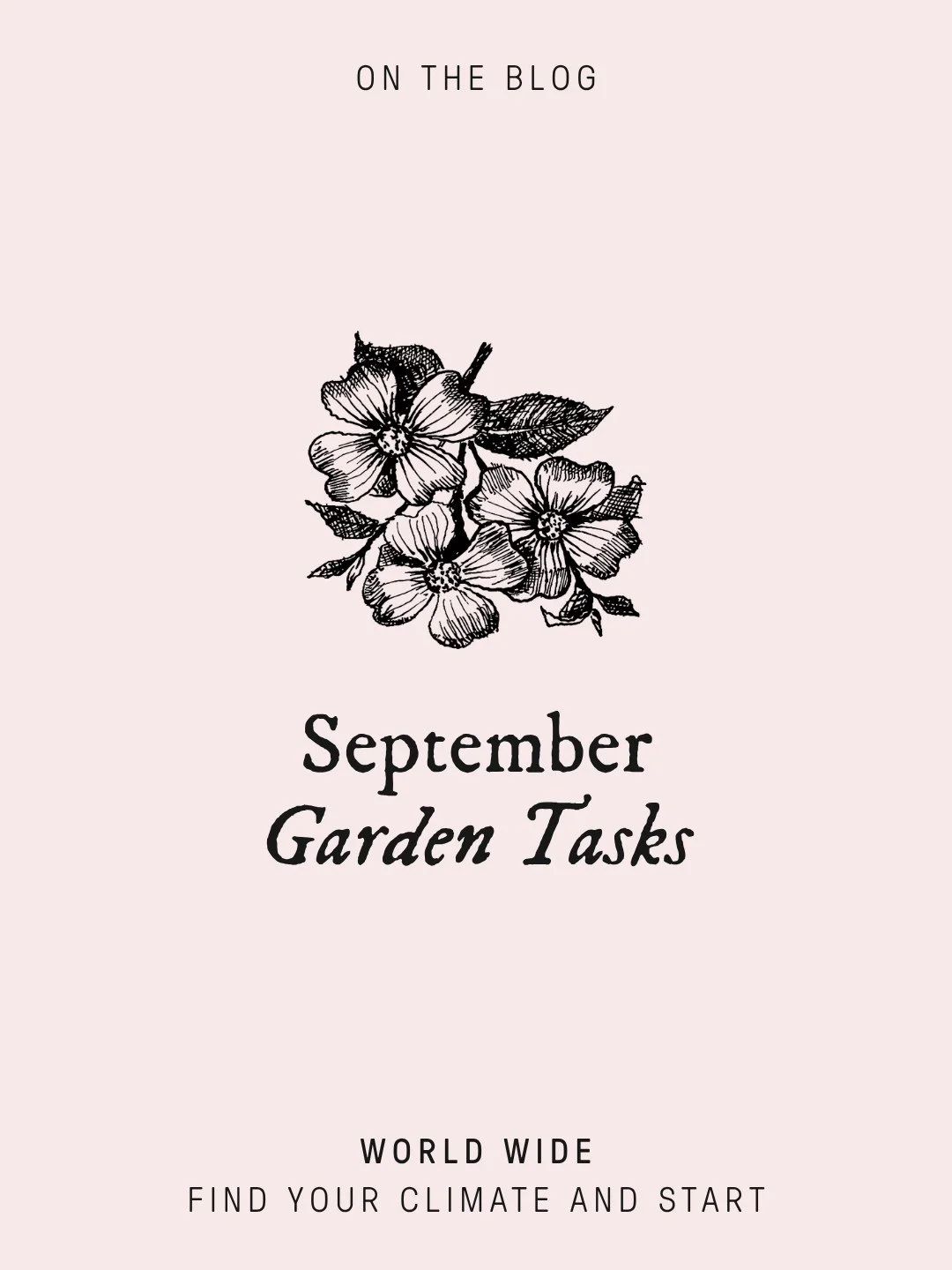 The garden is beginning to move with the season here in Daylesford, while on the other side of the world, autumn is settling in.⁠
⁠
For the first time, my monthly garden tasks blog covers both hemispheres. What to plant, what to sow, and what to do t