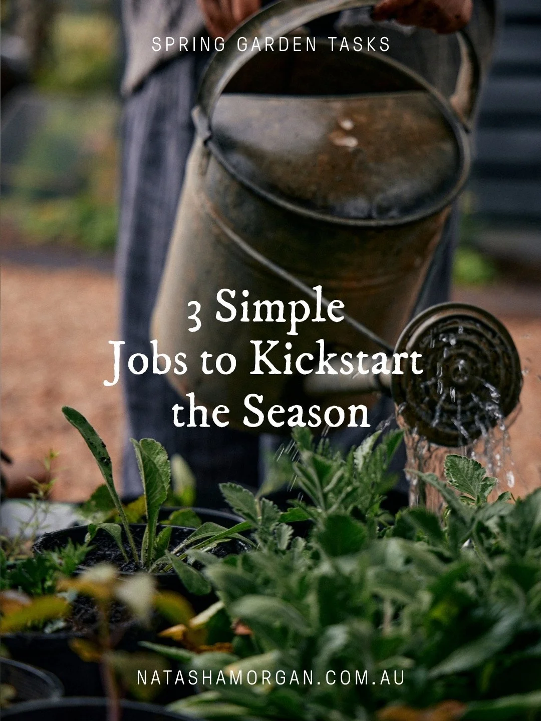 Transform Your Garden This Spring: 3 Simple Jobs to Kickstart the Season⁠
⁠
As spring announces its arrival, I&rsquo;ve been busy back in the garden. Now is the perfect time to refresh your garden and prepare it for the vibrant season ahead. Here&rsq