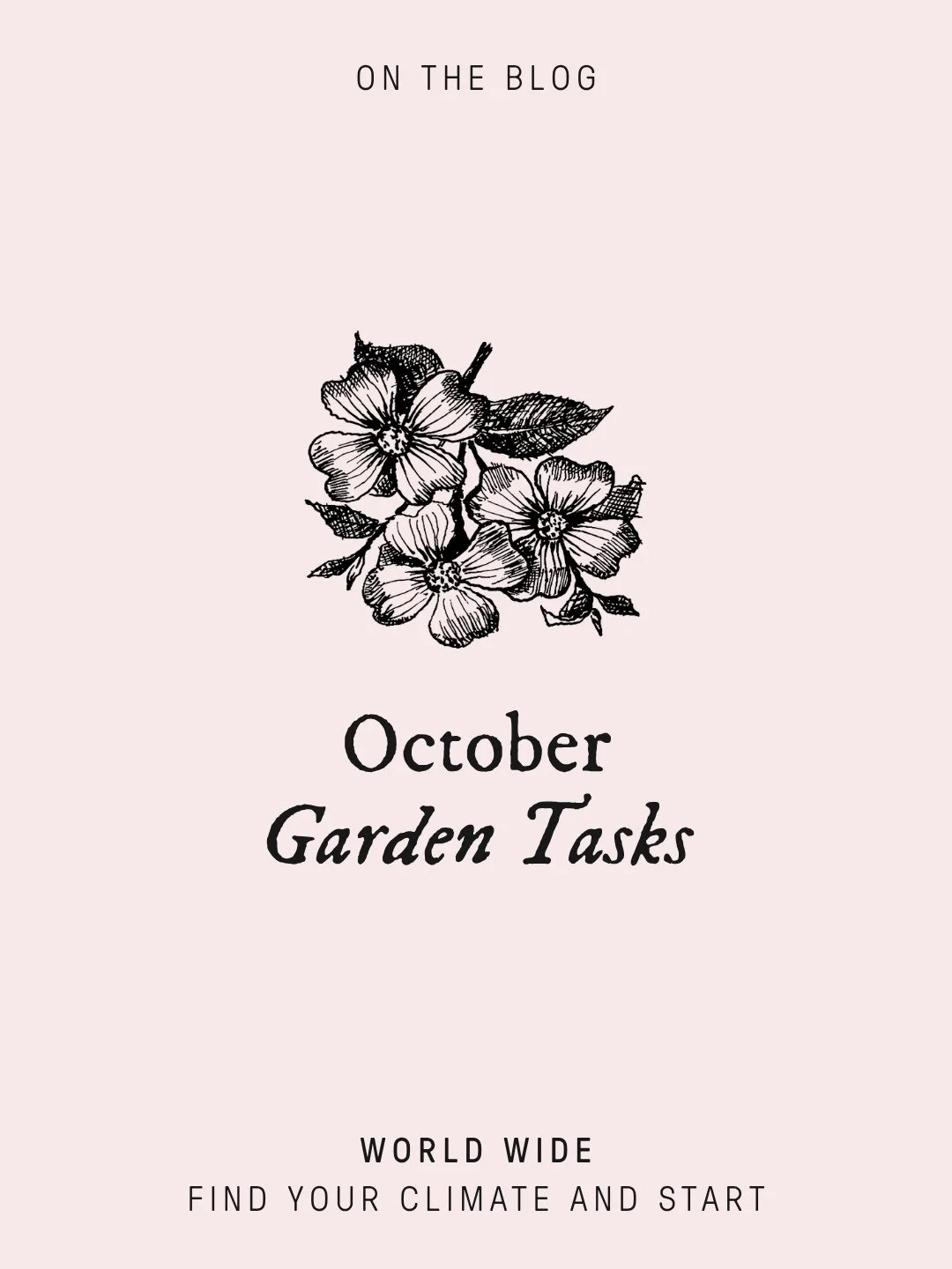 October is the month I stop being in charge of the garden. My job now is keeping up with it rather than starting it.⁠
⁠
The asparagus popped up overnight. The crab apple is in blossom and the last of the tulips are blooming underneath while the alliu