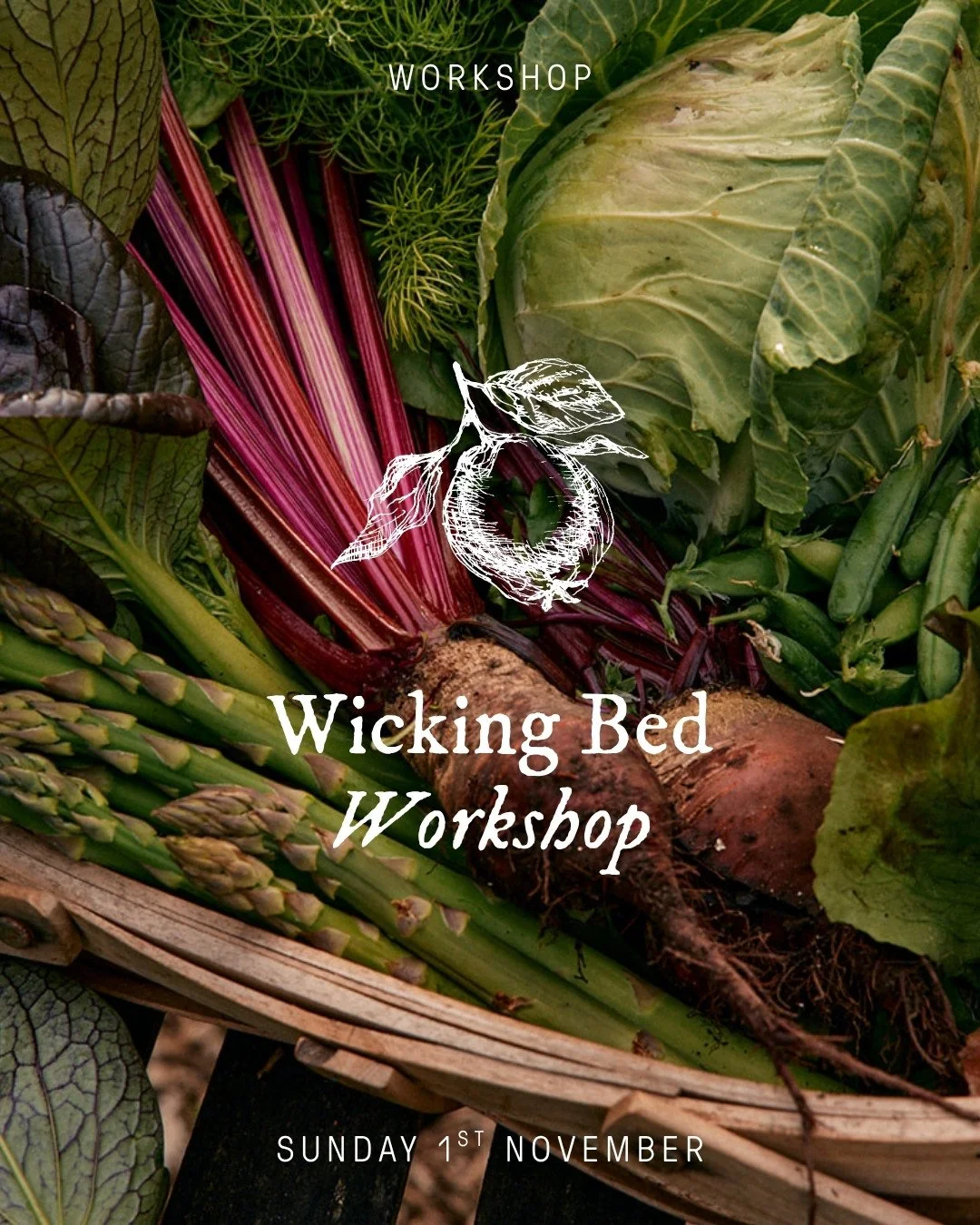 My wicking beds exist because of a $900 water bill. The first one I'd had to pay in over 10 years.⁠
⁠
Ten years at Oak &amp; Monkey Puzzle on tank and bore water, and I'd never once seen one. Then we moved into town, to Little Cottage on a Hill, and 