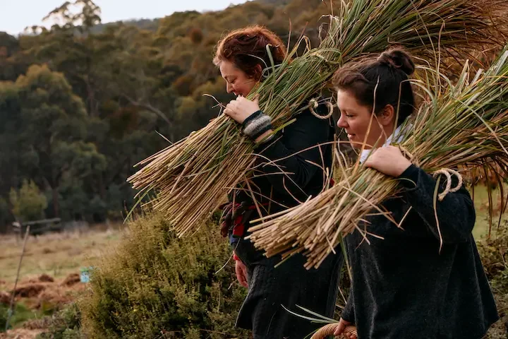 Lily Langham and Natasha Morgan harvesting grasses at Lily Langham's Three Chimney's garden