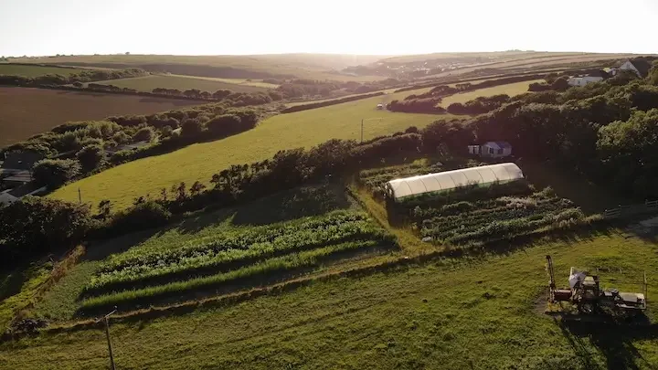 Aerial photograph of Meg Travis productive garden.