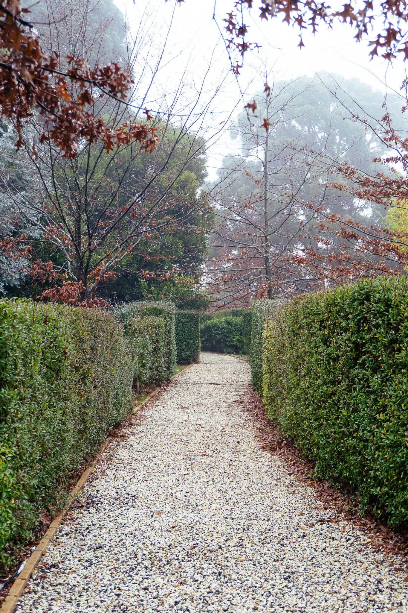 PREFERRED_DSC00243.jpg
