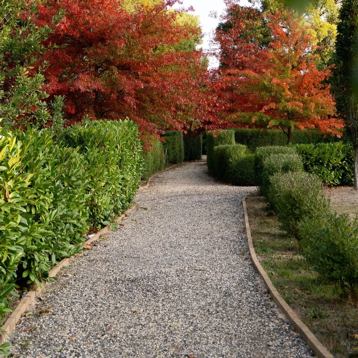 DSC08786.jpg