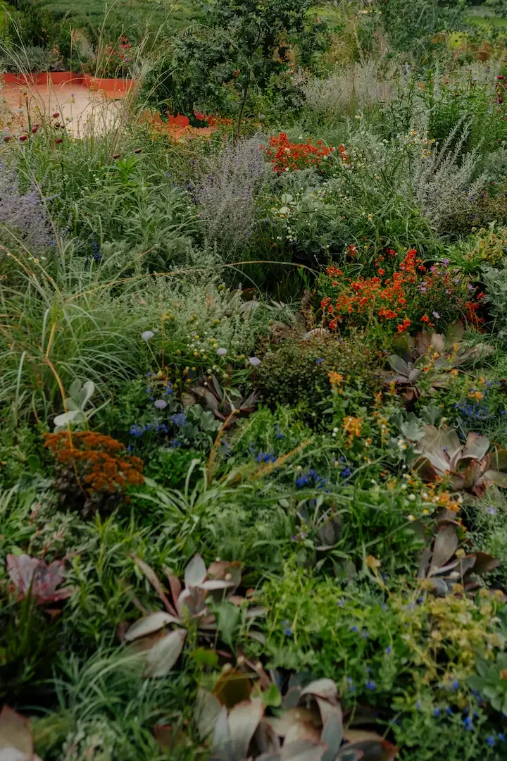 Jac Semmler designed garden