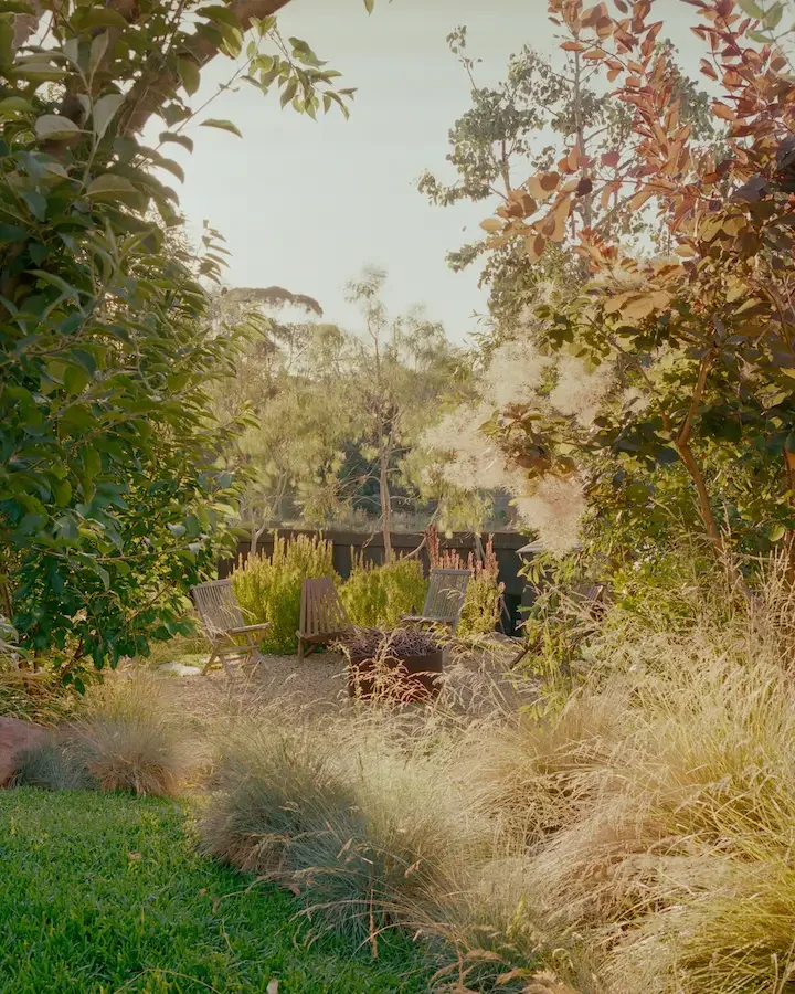 Simone Bliss garden
