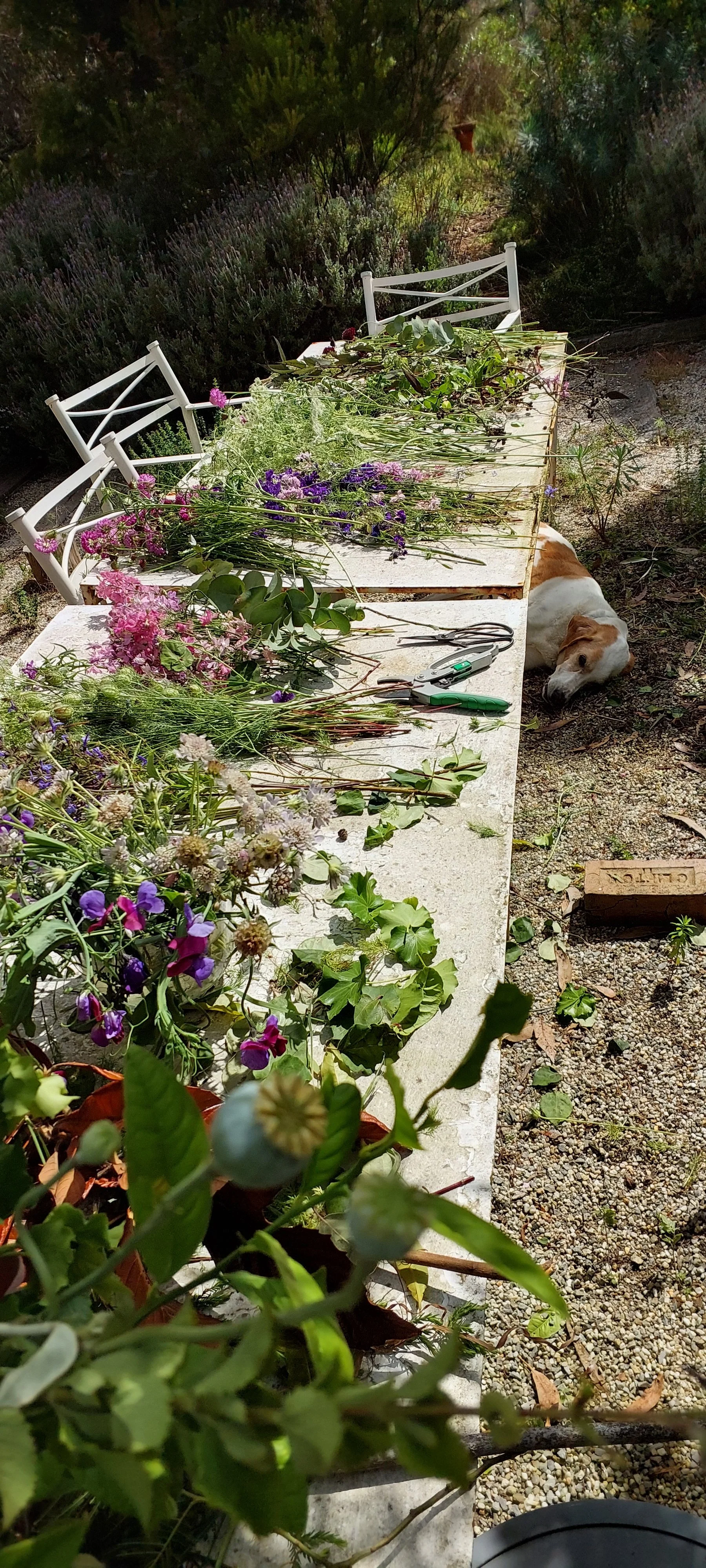 flowers on table Dudley.jpg