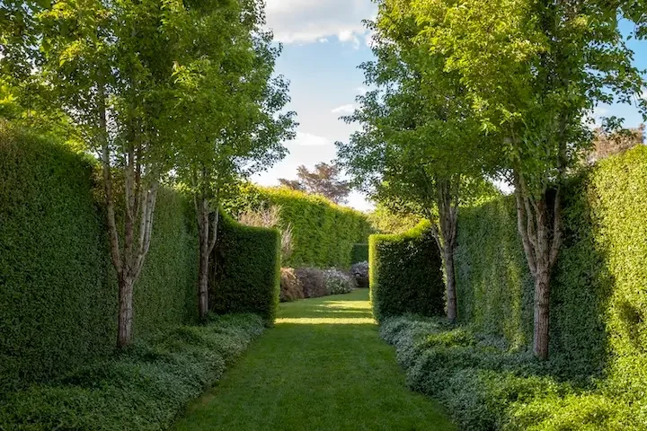 Bankhouse hedged garden room