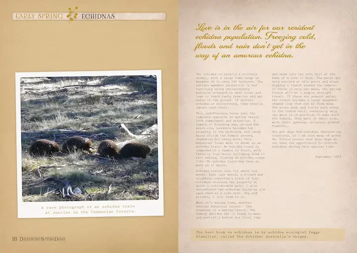 Tanya Loos, page spread from inside her book Daylesford Nature Diaries