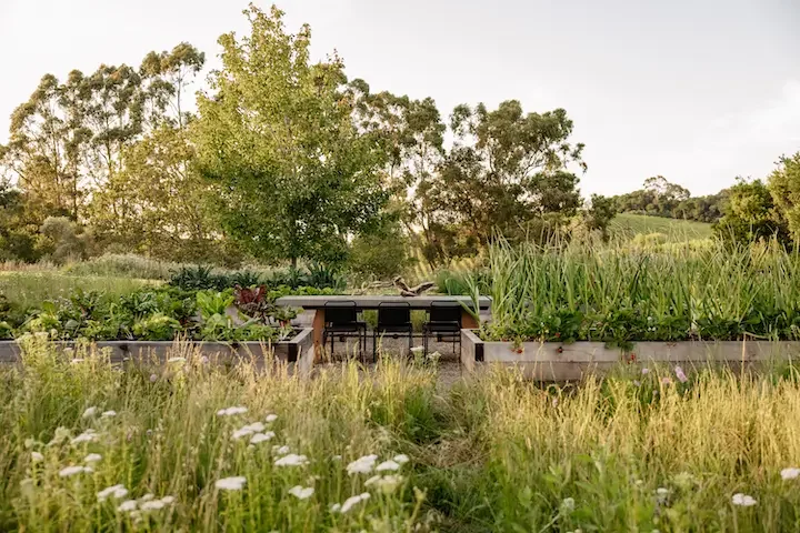 Christian Douglas designed garden.