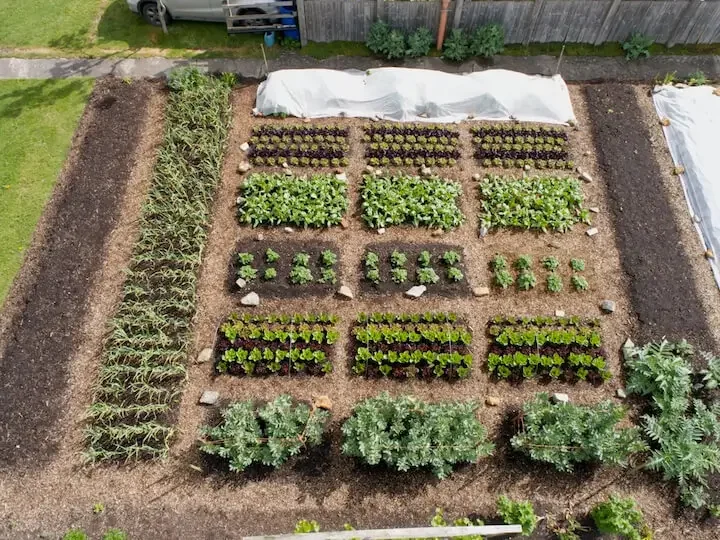 Charles Dowding's three step trial garden, aerial photograph taken by drone.
