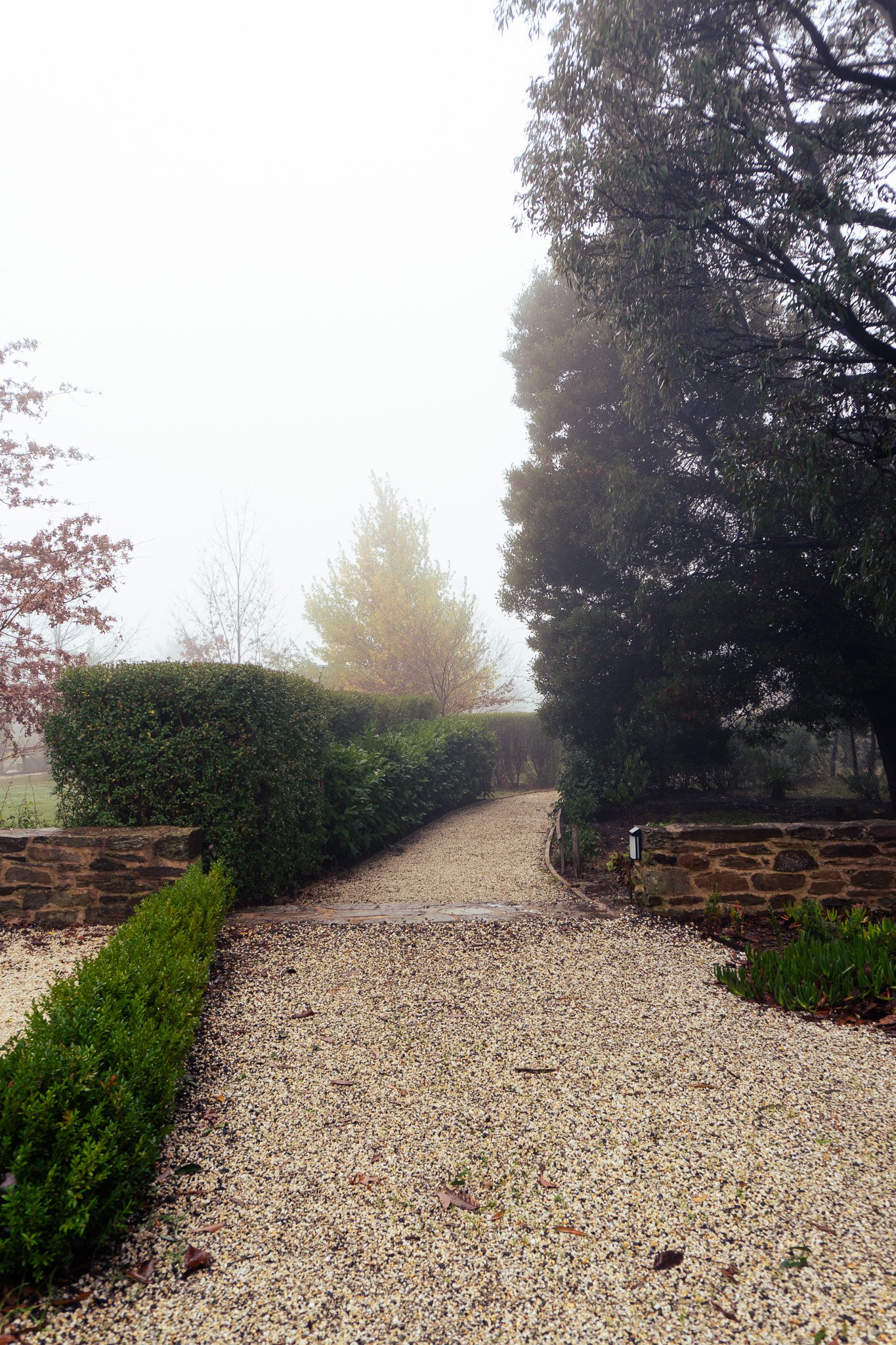 PREFERRED_DSC00211.jpg