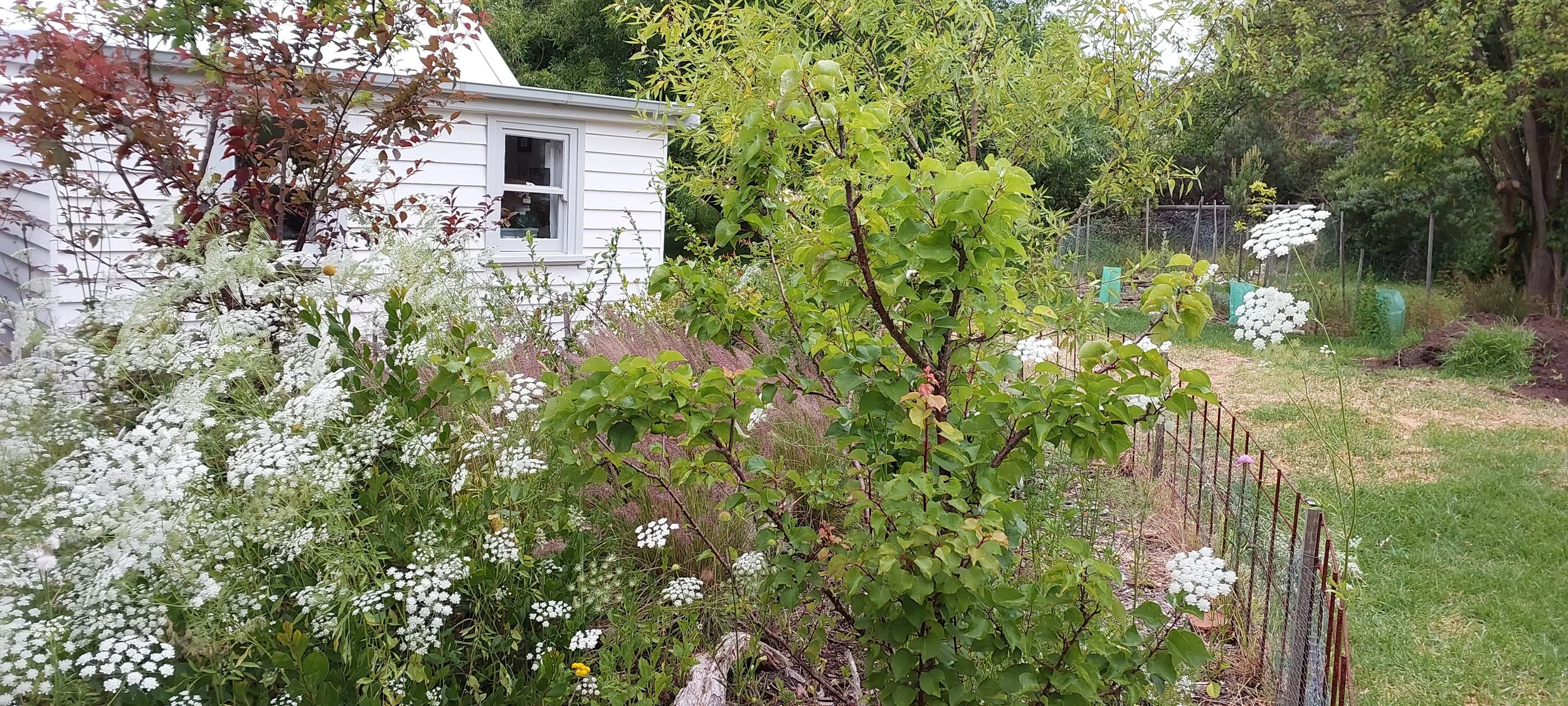 back view of cottage.jpg