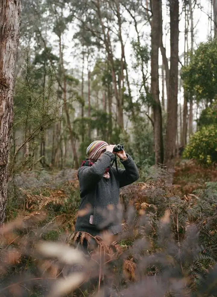 Tanya Loos looking for wildlife in Wombat Forest.