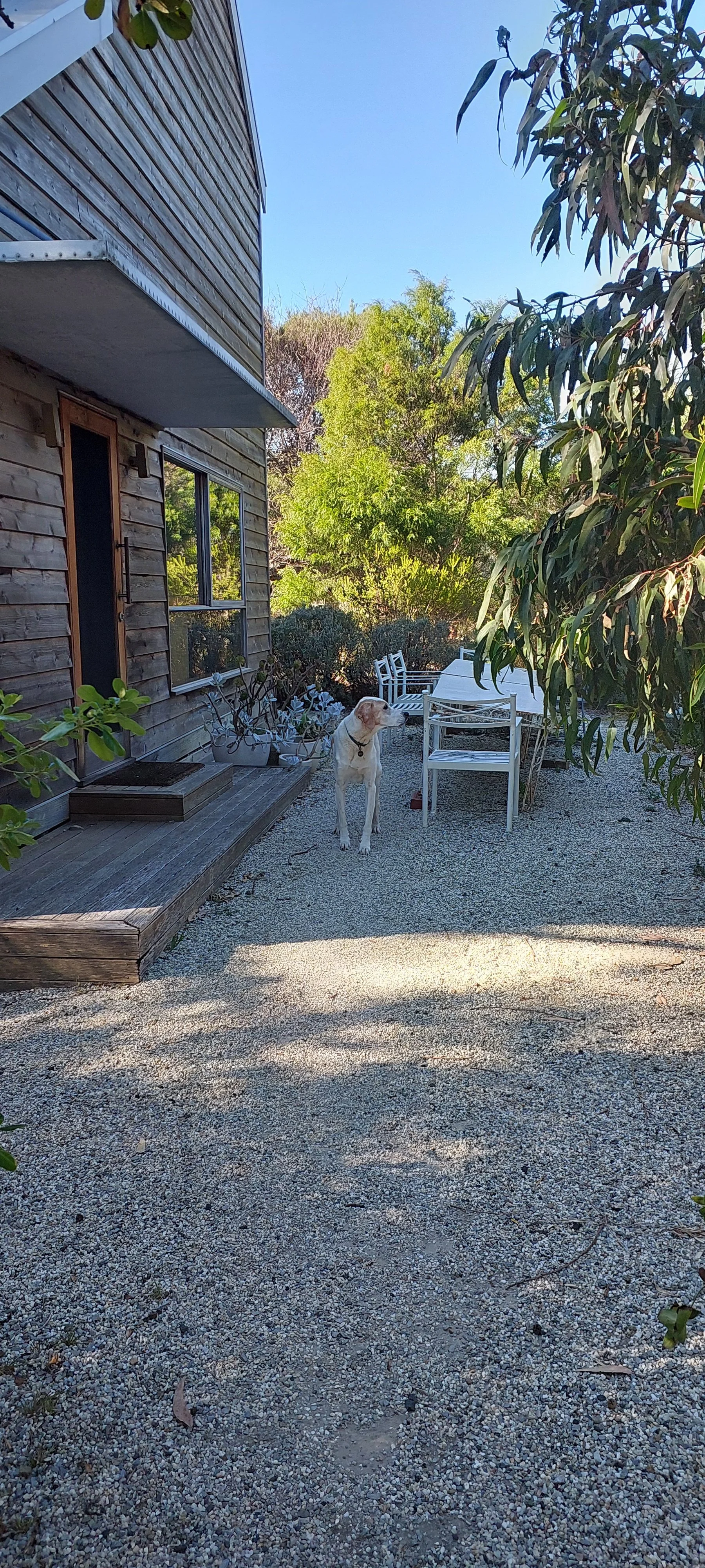 front of kiln house.jpg