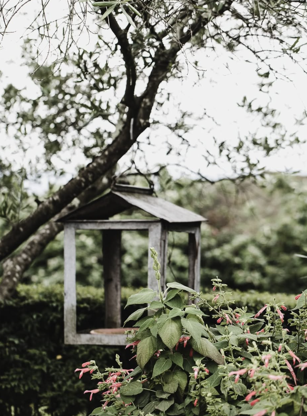 Screenshot 2026-02-12 at 10.13.48 pm.png