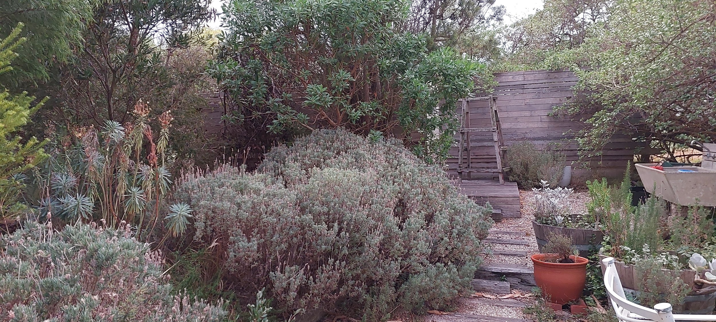 shower block.jpg