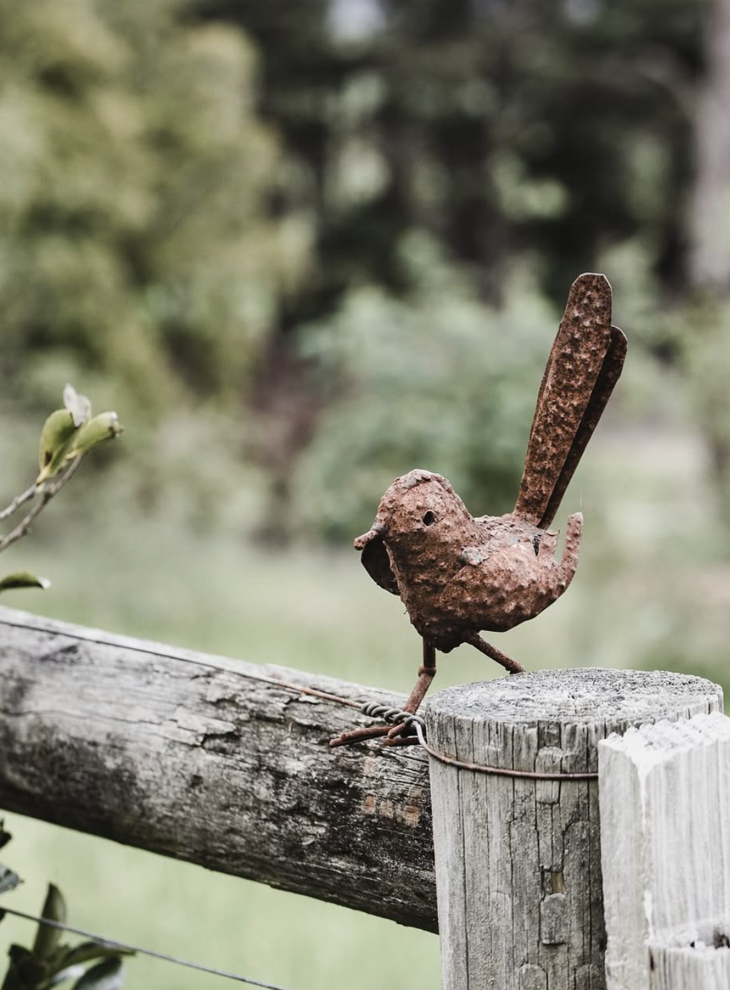 Screenshot 2026-02-12 at 10.13.42 pm.png