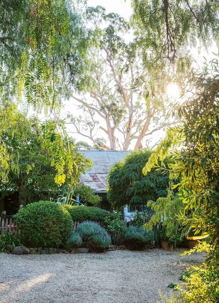 The Stones garden by Jeremy Valentine and Grant Francis photographed by Claire Takacs