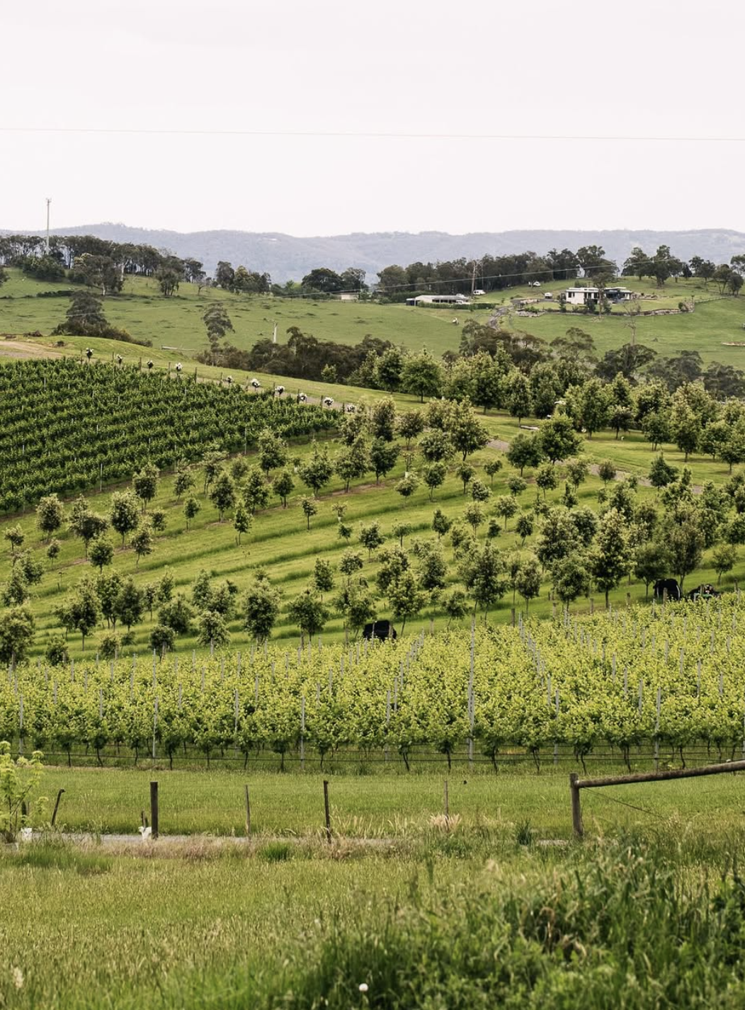 Screenshot 2026-02-12 at 10.14.00 pm.png