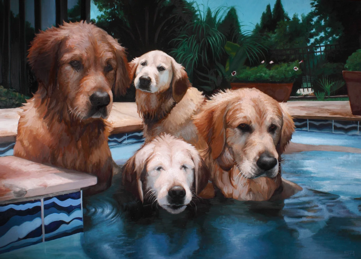 Pool Paws