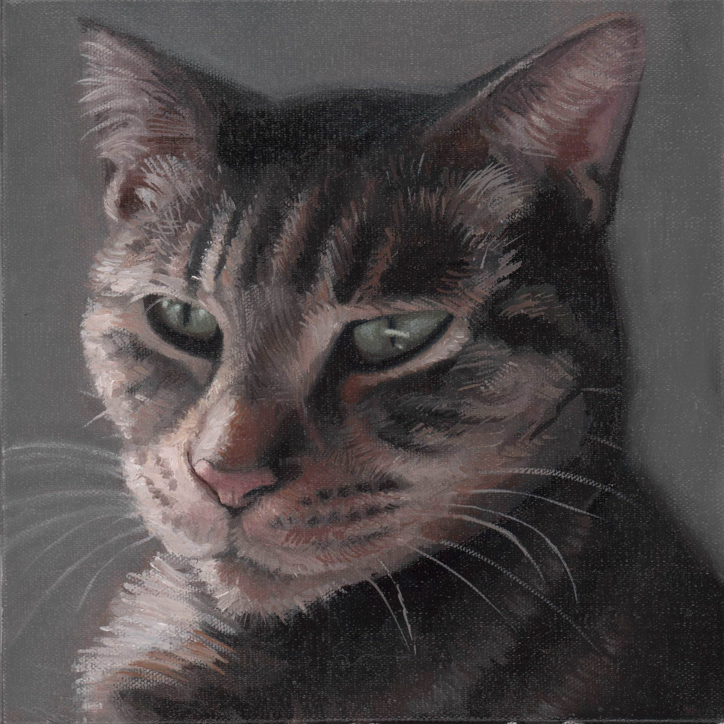 Oil on Canvas 10x10