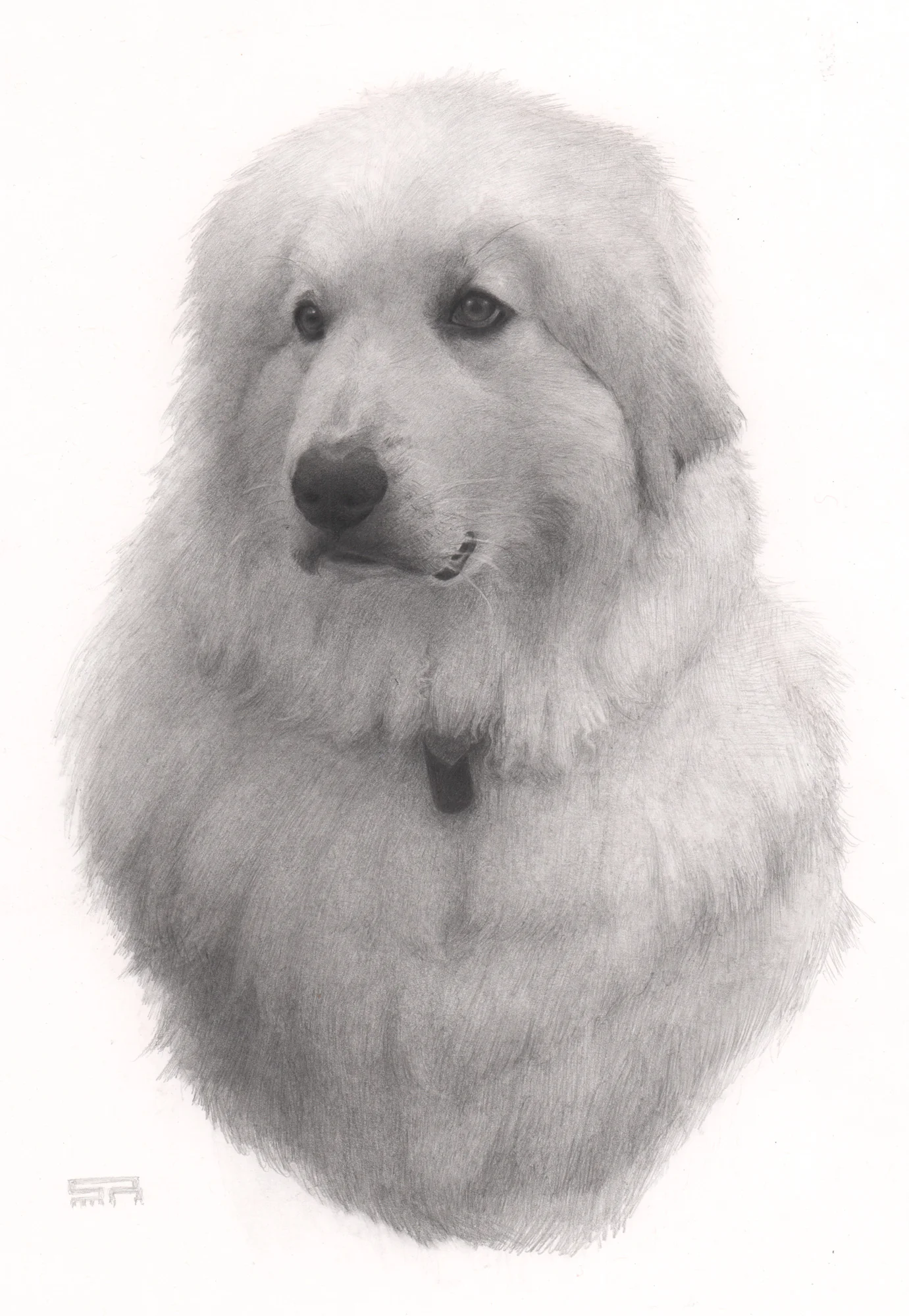 Burley Drawing