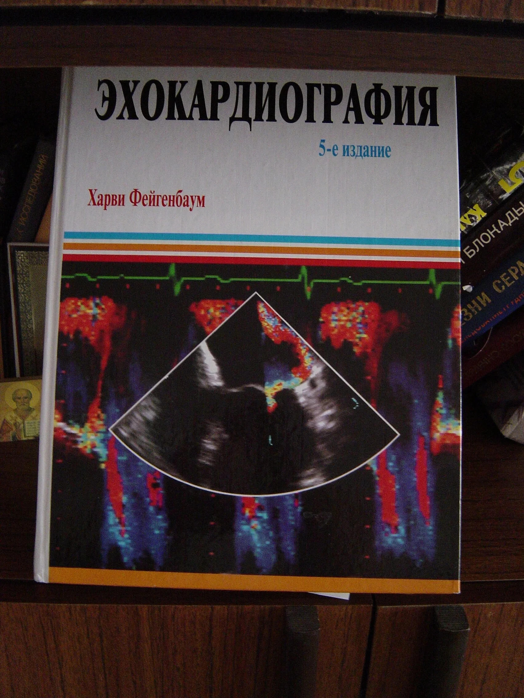 Feigenbaum textbook in Russian.JPG