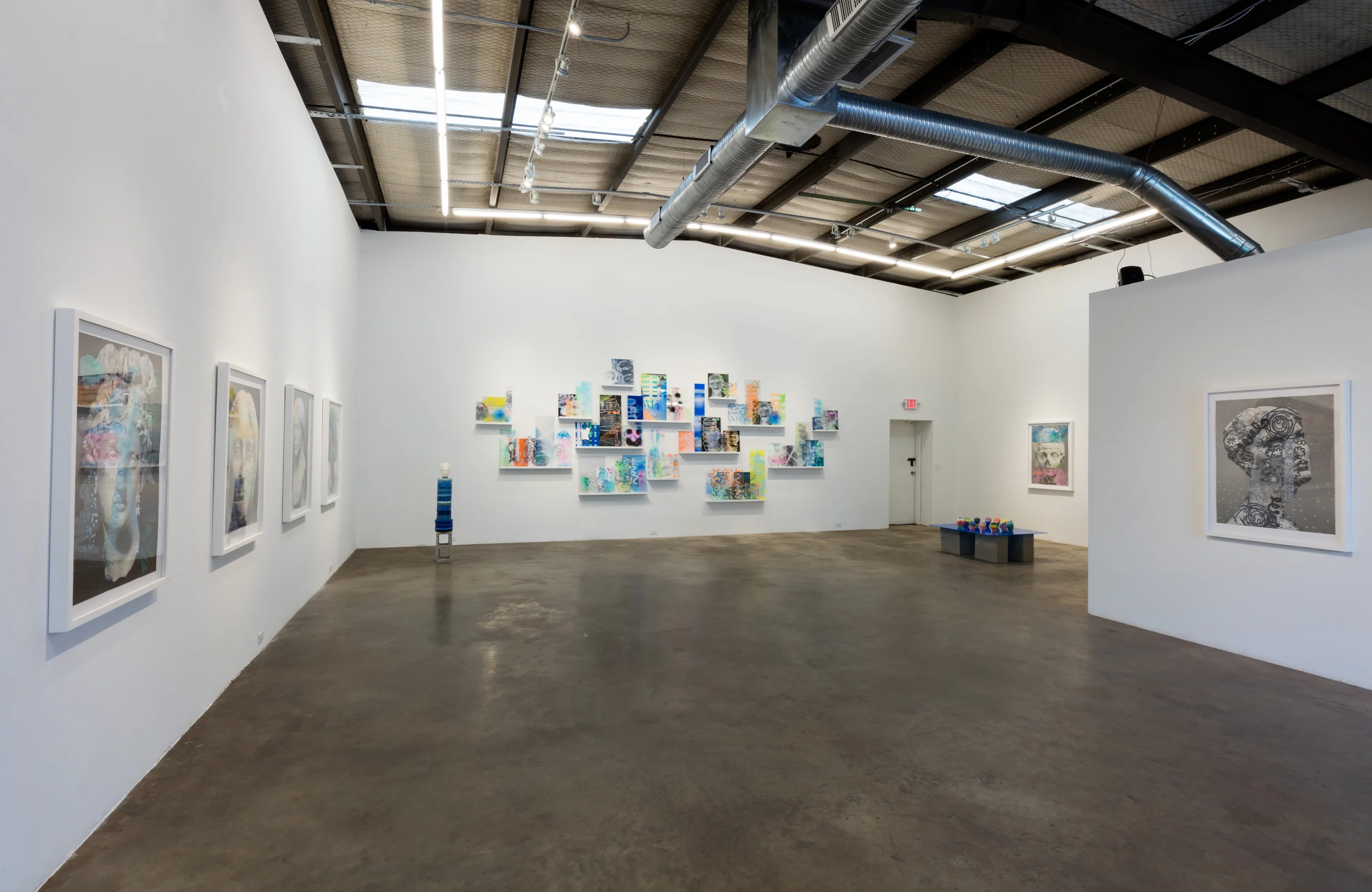 Capable Looking | Installation view Erin Cluley Gallery | 2016