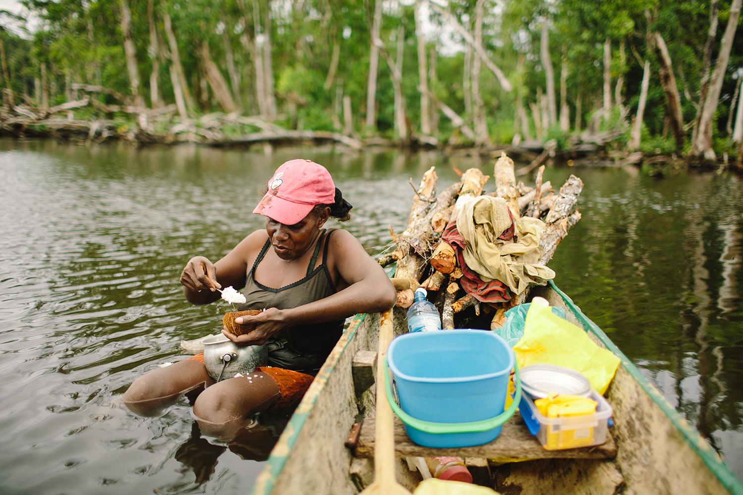 mangroves09.jpg