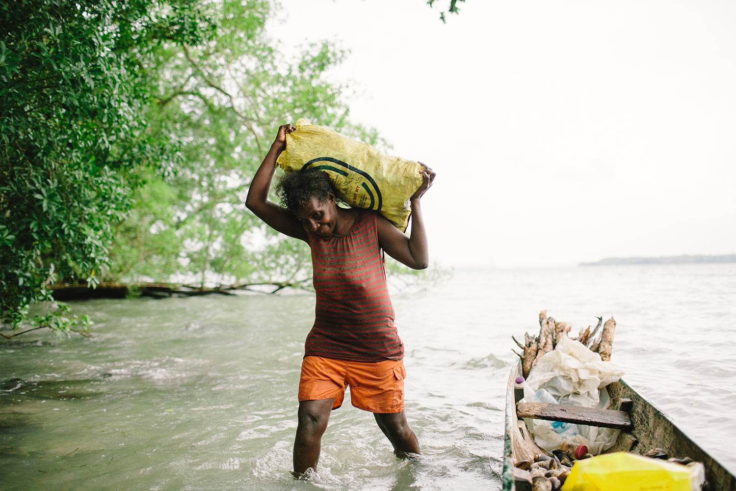 mangroves11.jpg