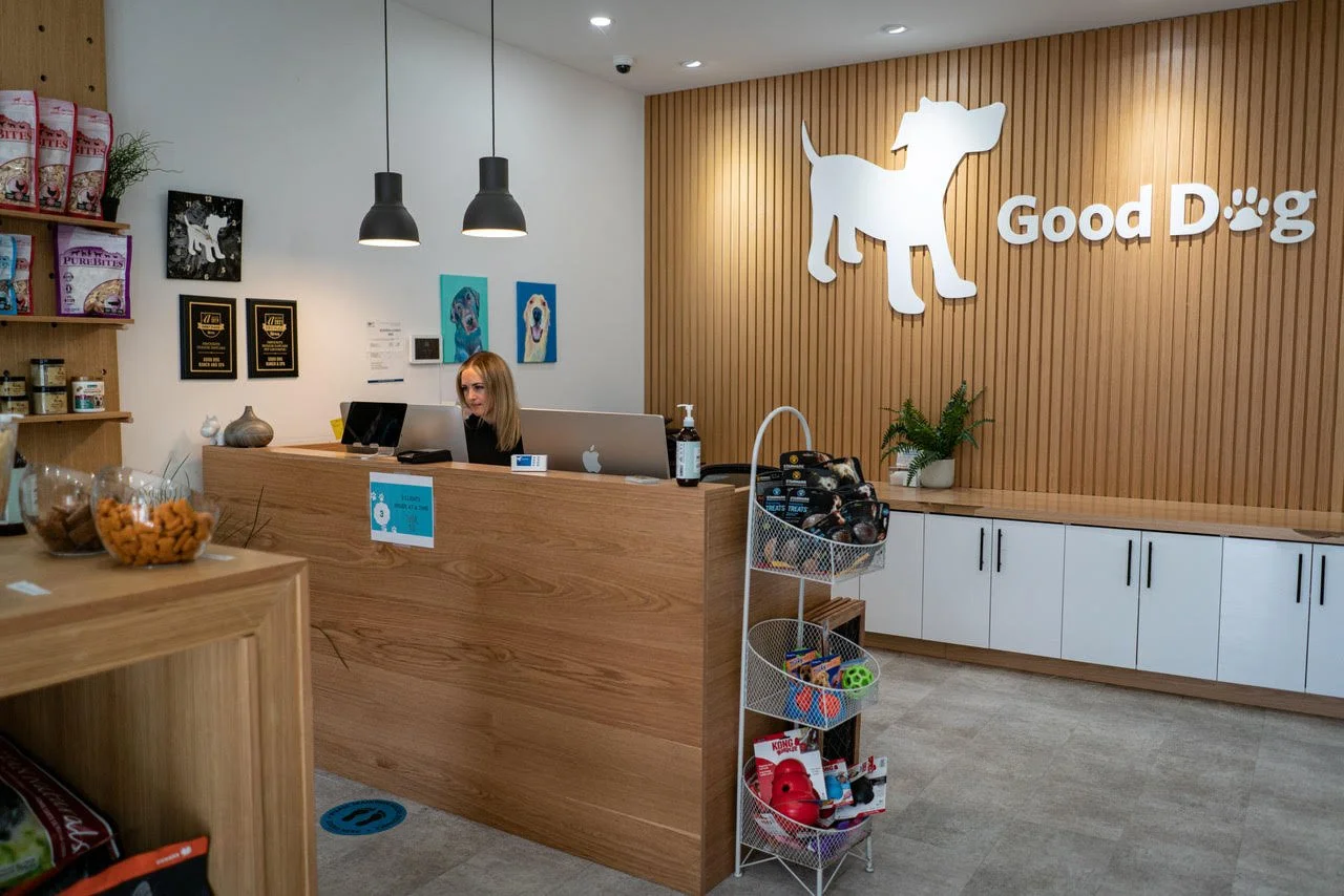 Coquitlam Dog Daycare & Boarding Good Dog