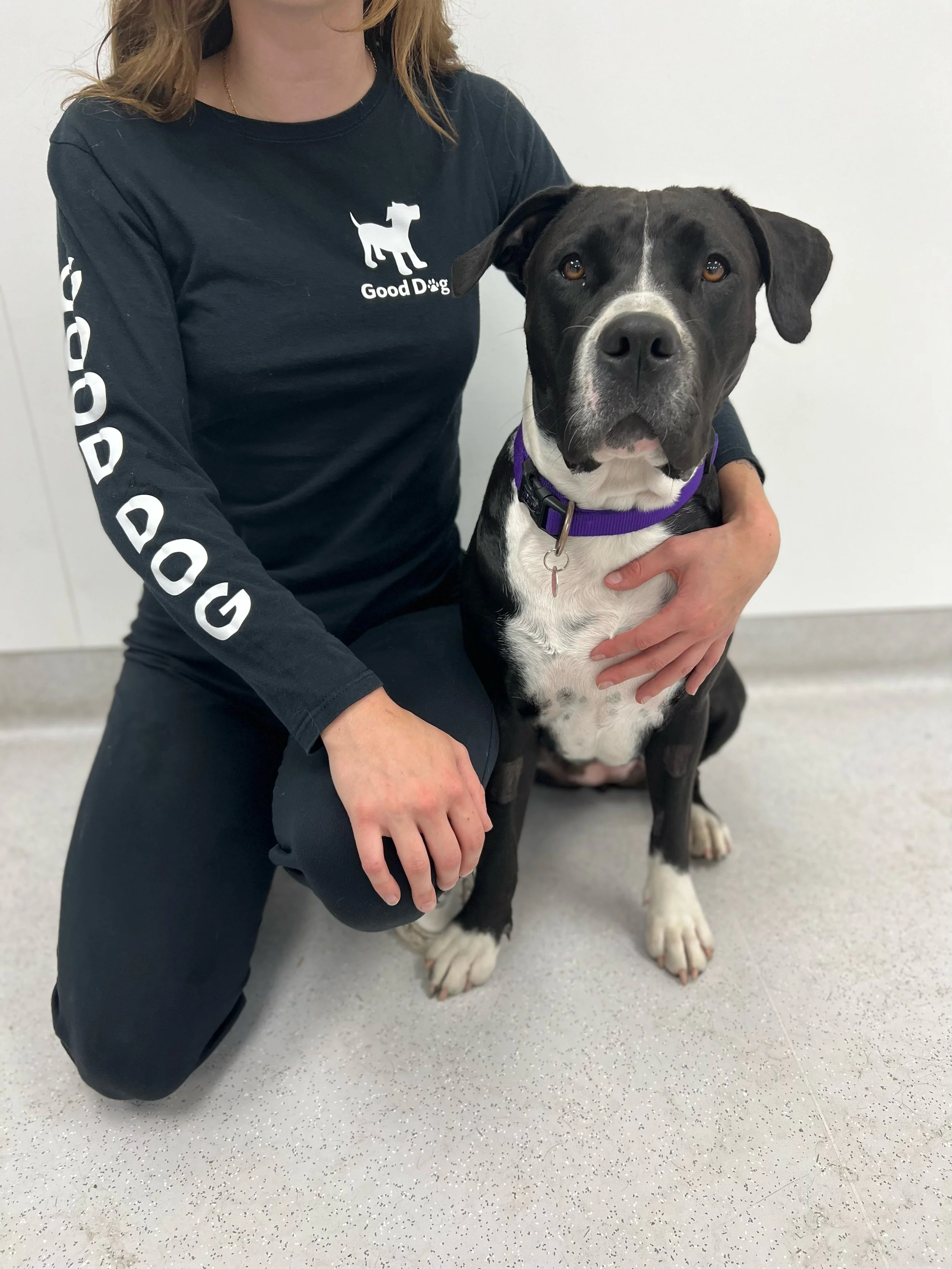 Good Dog Deluxe Long Sleeve Shirt