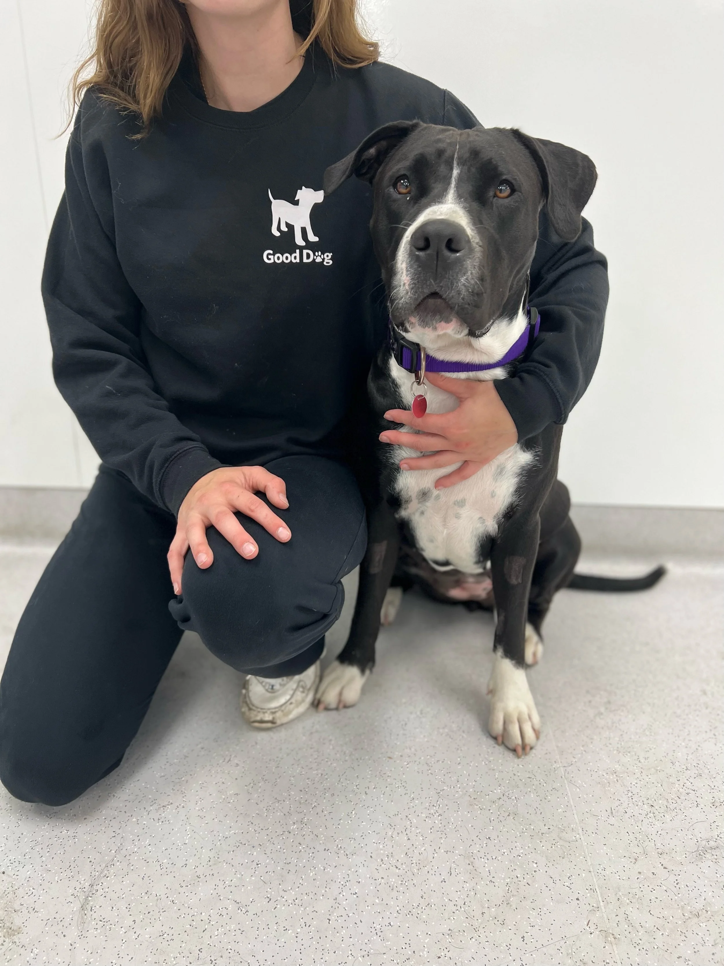 Good Dog Crewneck Sweatshirt